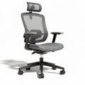 Sedia da ufficio ergonomica in rete grigia con supporto lombare e braccioli mobili 60 x 60 x 120cm
